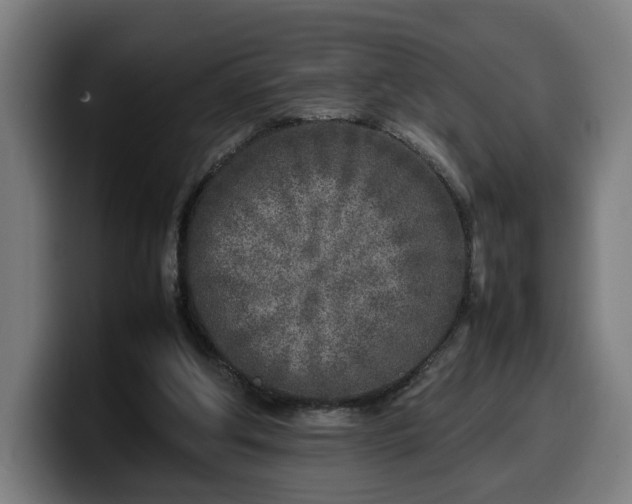 X0000099930202200805301204