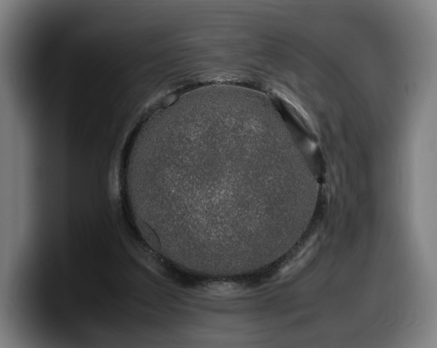 X0000099930203200805301204