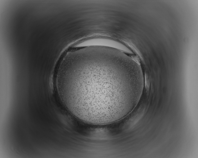 X0000099930204200805301204