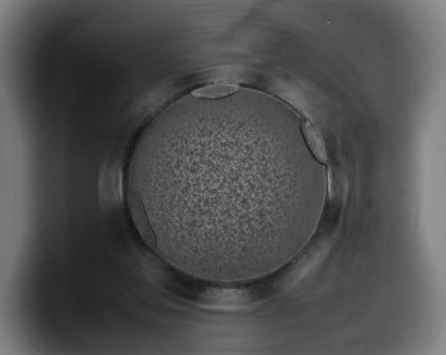 X0000099930205200805301204