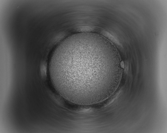 X0000099930206200805301204