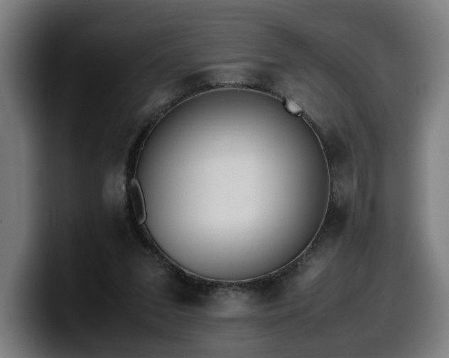 X0000099930207200805301204