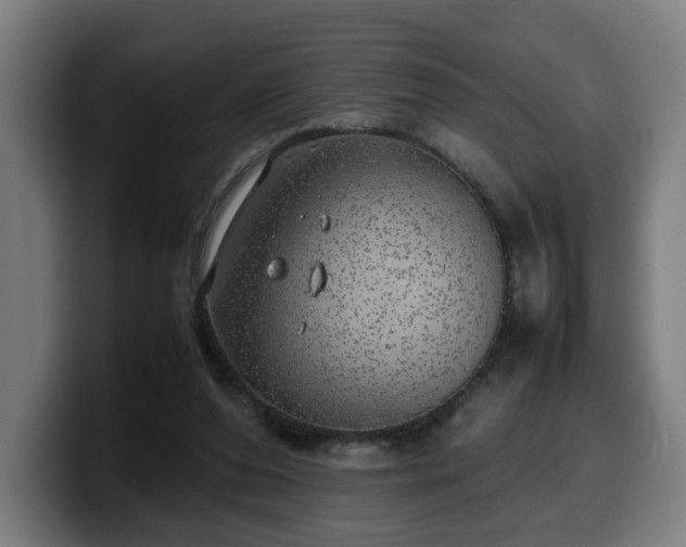 X0000099930208200805301204