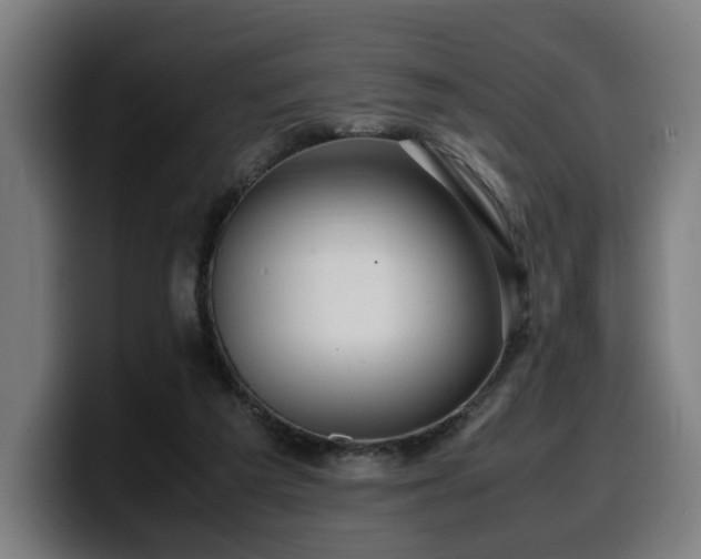 X0000099930209200805301204