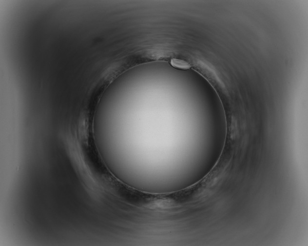 X0000099930210200805301204