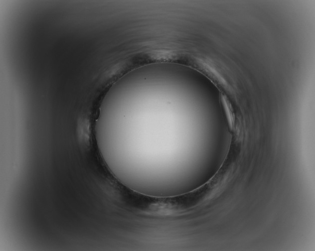 X0000099930211200805301204