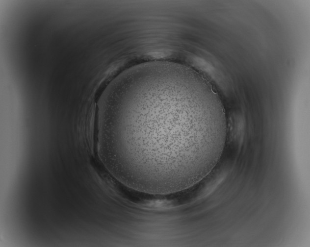 X0000099930212200805301204