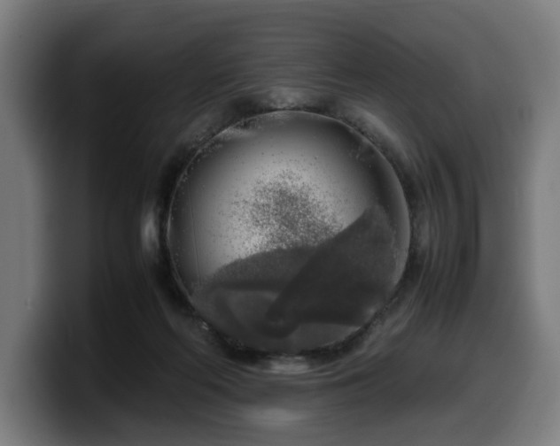 X0000099930214200805301204