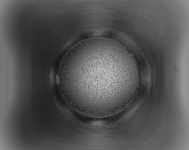 X0000099930216200805301204