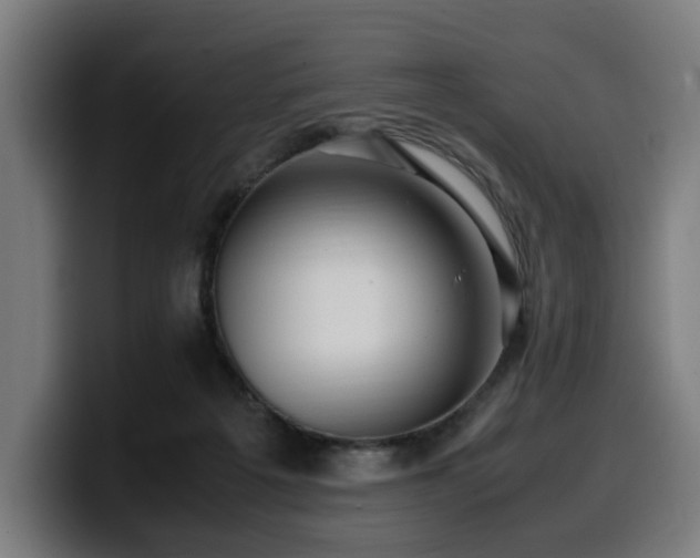 X0000099930217200805301204