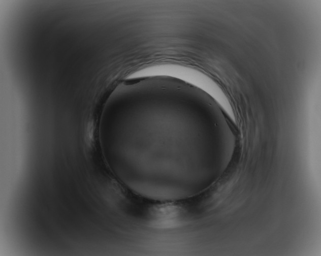 X0000099930219200805301204