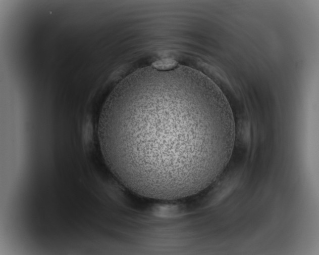 X0000099930220200805301204