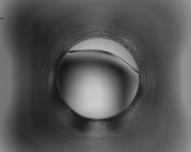 X0000099930221200805301204