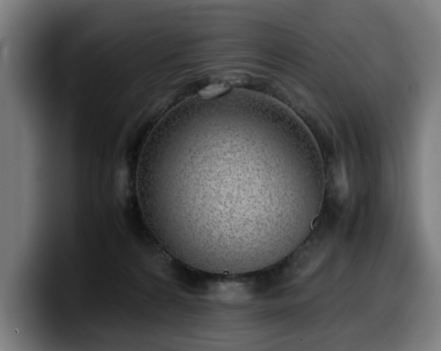 X0000099930224200805301204