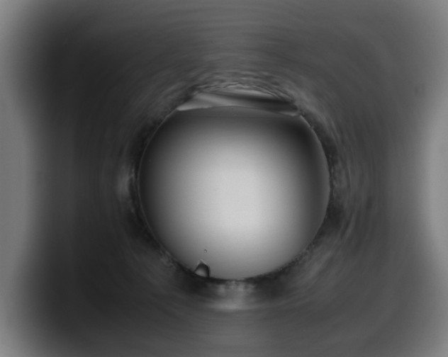 X0000099930225200805301204