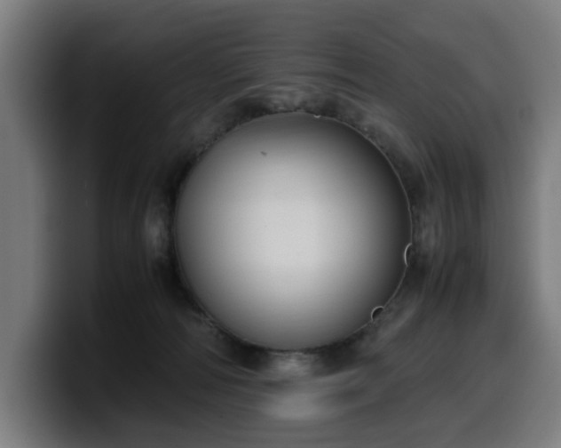 X0000099930226200805301204