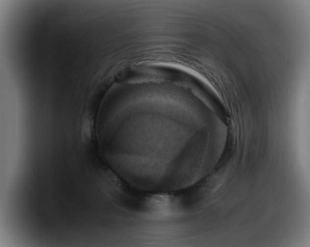 X0000099930227200805301204