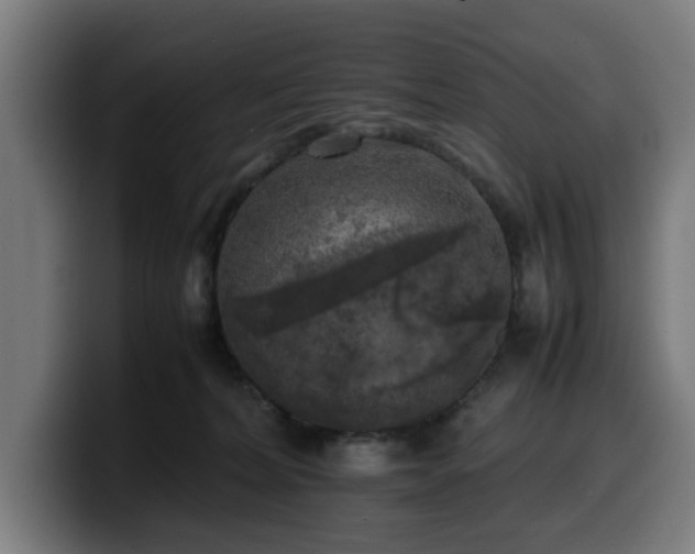 X0000099930228200805301204