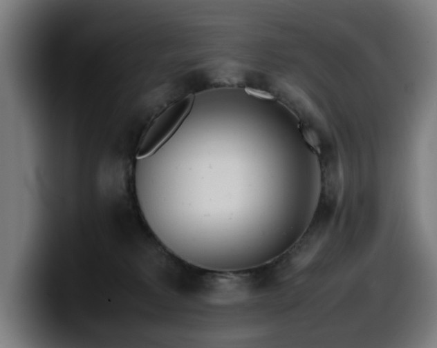 X0000099930229200805301204