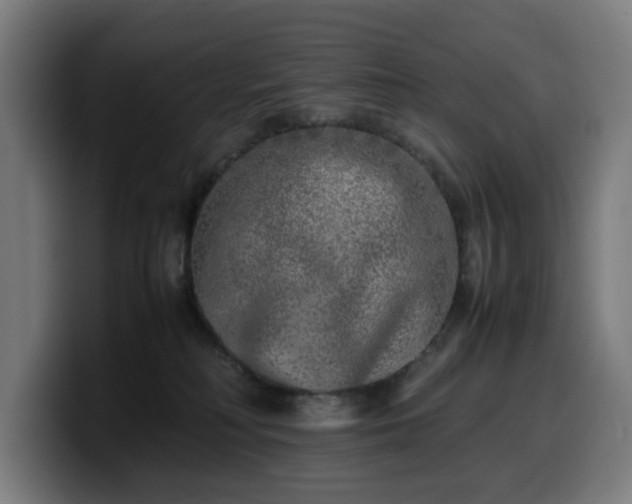 X0000099930230200805301204