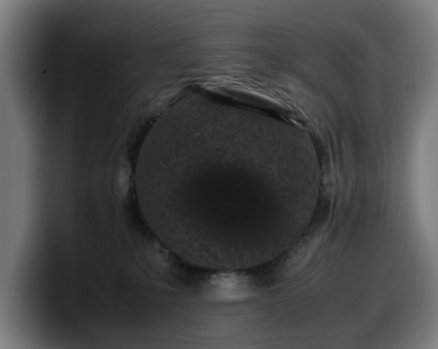 X0000099930231200805301204