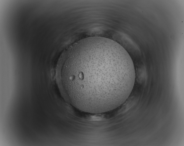 X0000099930232200805301204