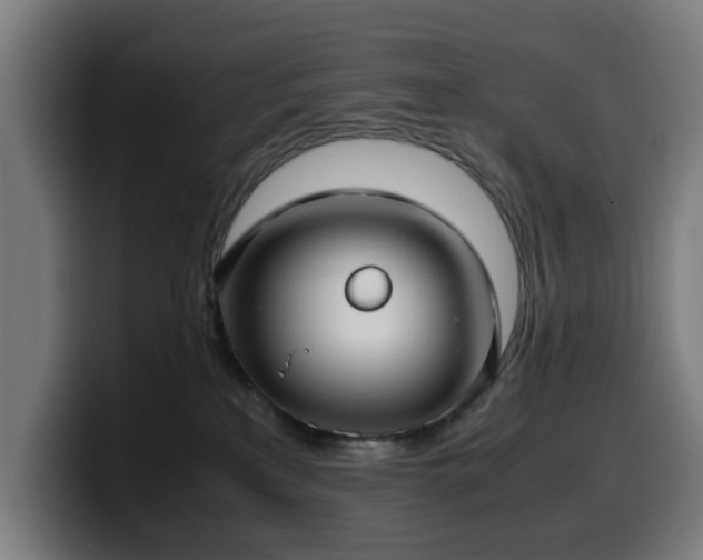 X0000099930233200805301204