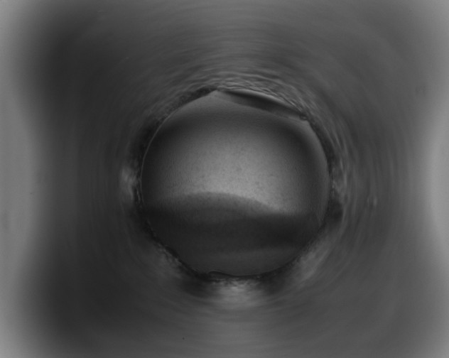 X0000099930235200805301204