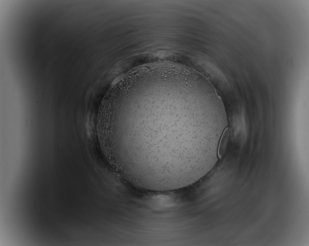 X0000099930236200805301204