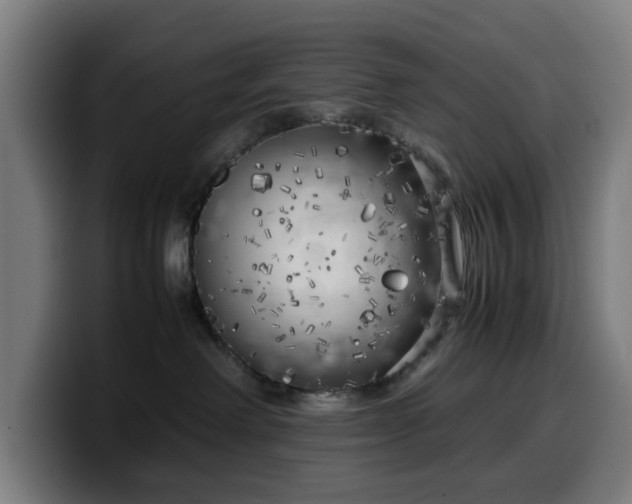 X0000099930238200805301204
