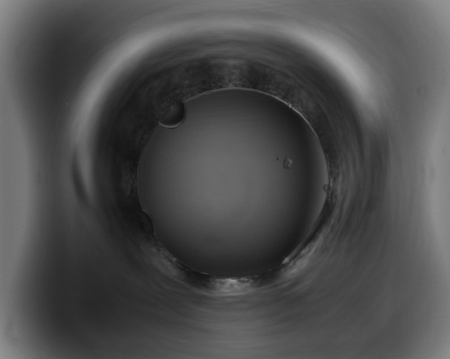 X0000099930239200805301204