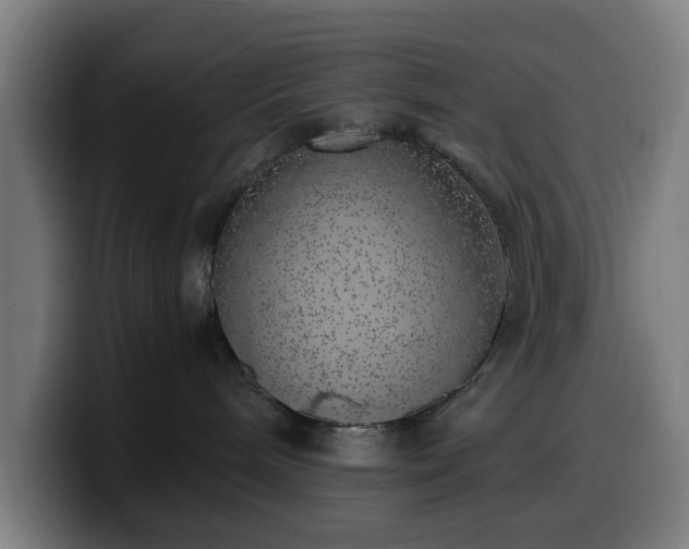 X0000099930240200805301204