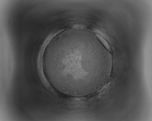 X0000099930241200805301203