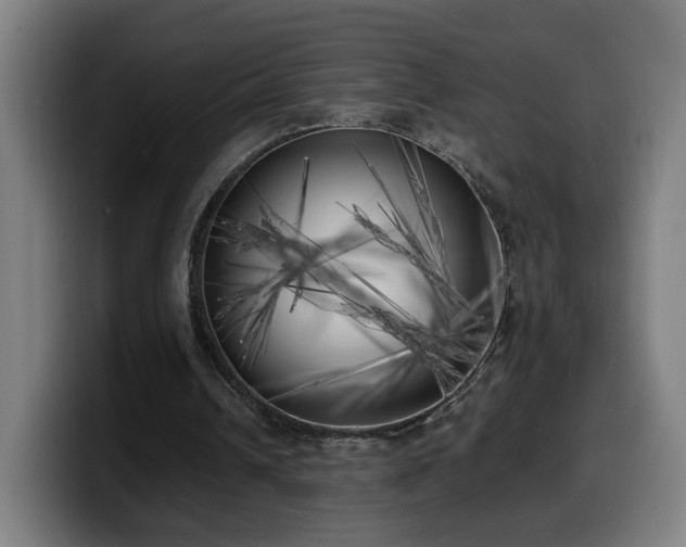 X0000099930242200805301203