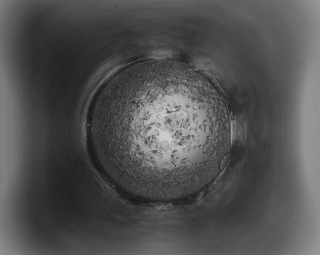 X0000099930243200805301203