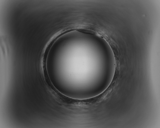 X0000099930244200805301203