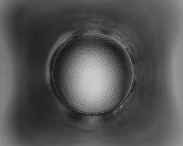 X0000099930245200805301203