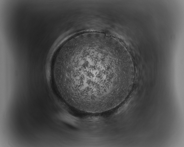 X0000099930247200805301203
