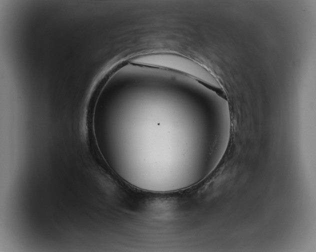 X0000099930248200805301203