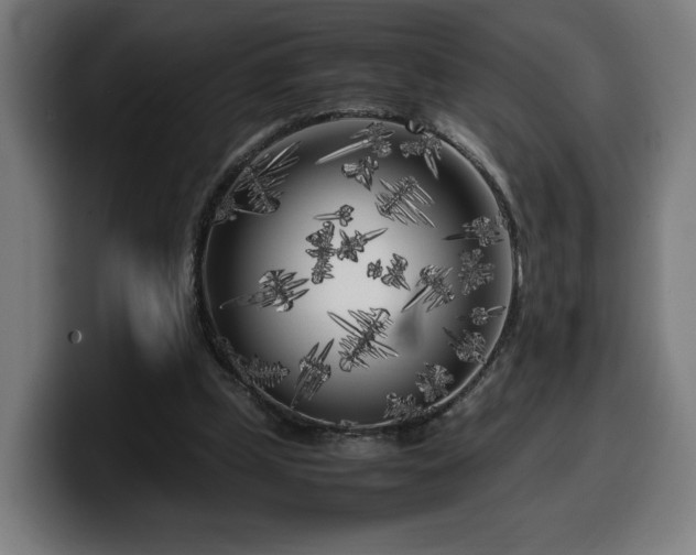 X0000099930249200805301203
