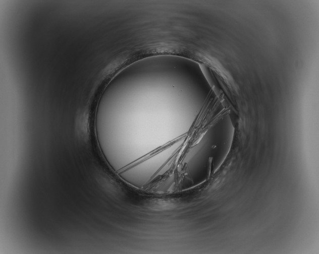 X0000099930250200805301203