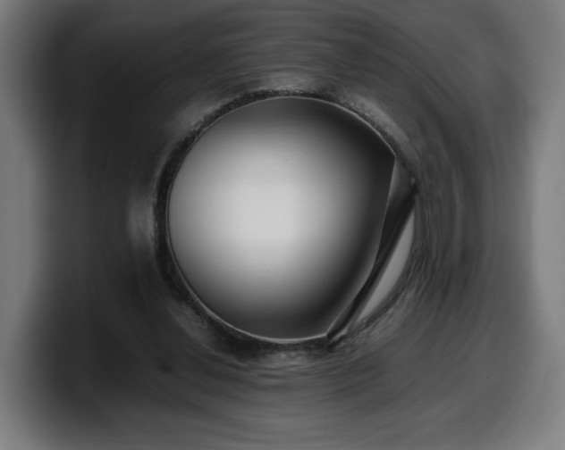 X0000099930252200805301203