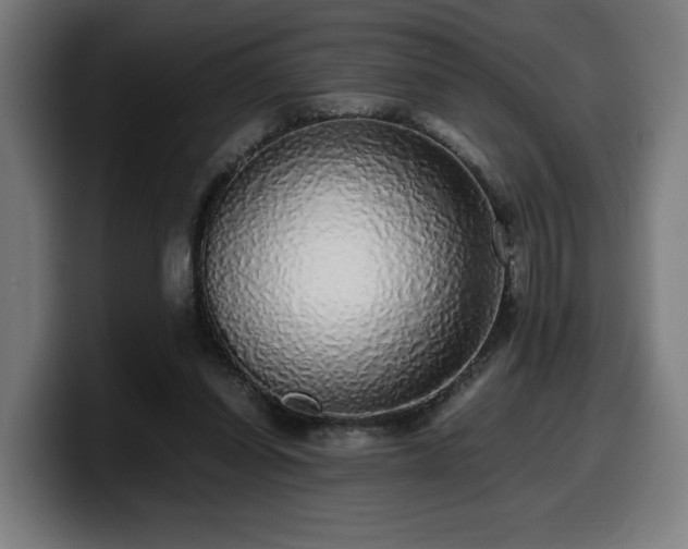 X0000099930254200805301203