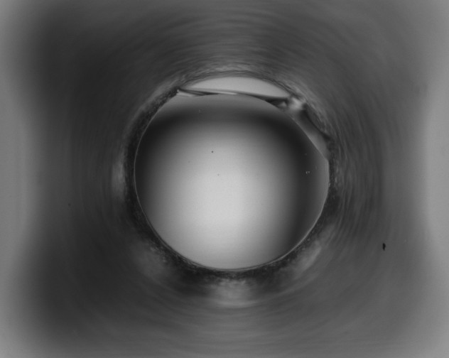 X0000099930256200805301203