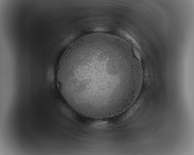 X0000099930257200805301203