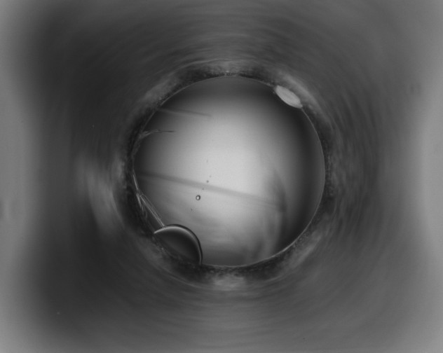X0000099930258200805301203