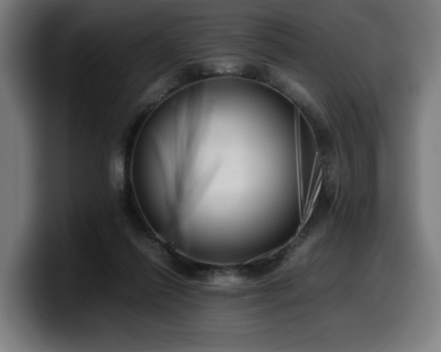 X0000099930262200805301203