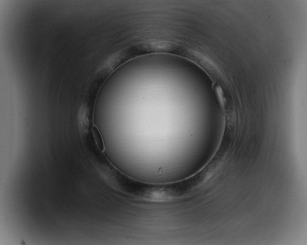 X0000099930264200805301203