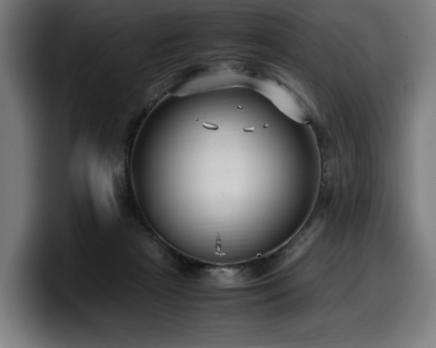 X0000099930265200805301203