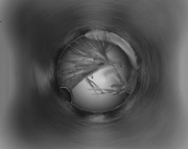 X0000099930266200805301204